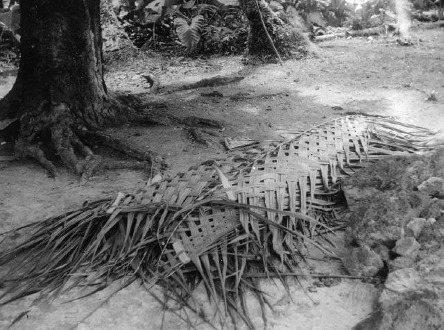 CoconutFrondWeave.jpg