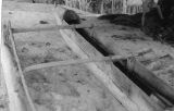 TalaThumb0004.jpg