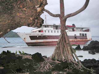 Bulou-ni-Ceva on reef at Lopta