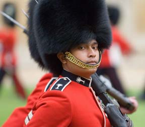 Kava as Welsh Guard