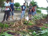 TalaThumb0005.jpg