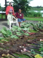 TalaThumb0007.jpg