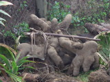 TalaThumb0005.jpg