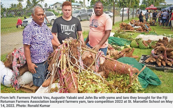 Rotuman farmers in Fiji