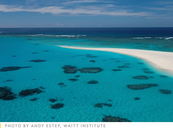 Pristine waters
