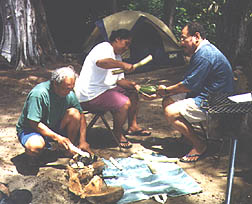 photo: removing breadfruit seeds