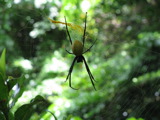 TalaThumb0014.jpg