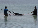 TalaThumb0016.jpg