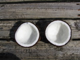 TalaThumb0024.jpg