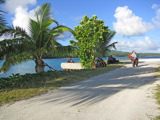 TalaThumb0029.jpg
