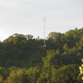 TalaThumb0030.jpg