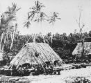 TalaThumb0008.jpg