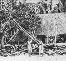 TalaThumb0009.jpg