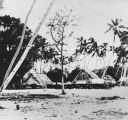 TalaThumb0011.jpg