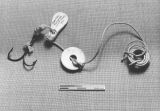 TalaThumb0019.jpg