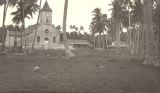 TalaThumb0019.jpg
