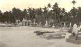 TalaThumb0024.jpg