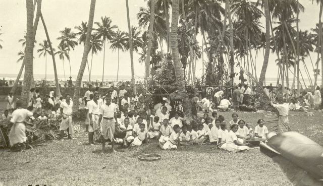 Fiji-VII-p.28c.jpg