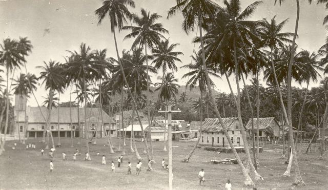 Fiji-VII-p.29a.jpg