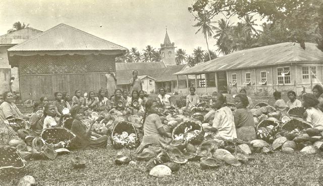 Fiji-VII-p.30a.jpg
