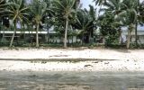 TalaThumb0017.jpg