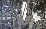 TalaThumb0008.jpg